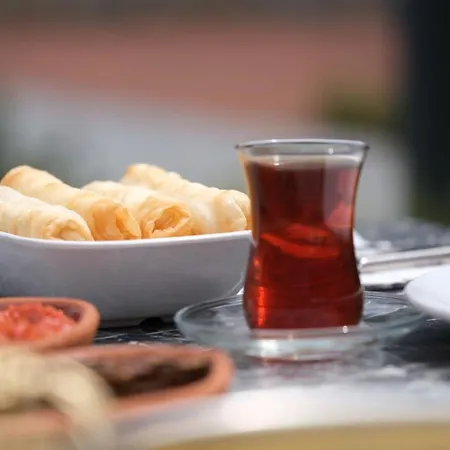 Melekona House Hotel Kartepe